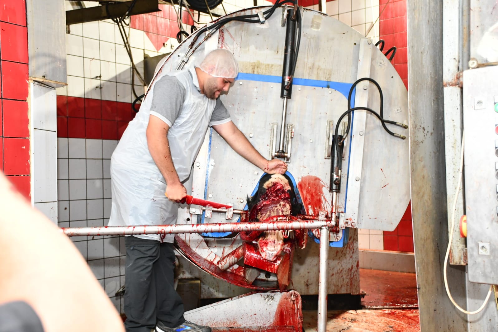 WhatsApp Image 2020-07-31 at 11.28.32 AM (2).jpeg.jpeg